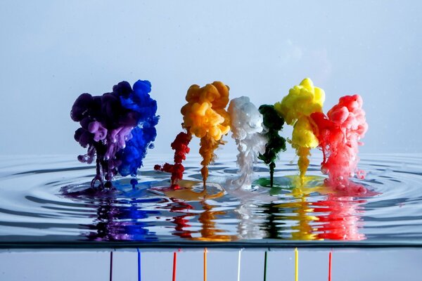 Les couleurs de peinture saturées tombent dans l eau