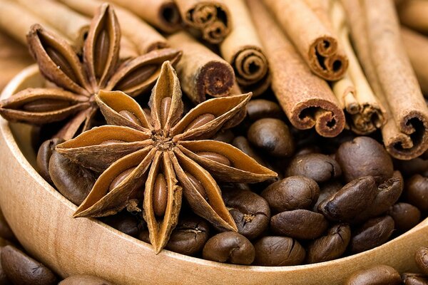 Spezie diverse con chicchi di caffè e cannella