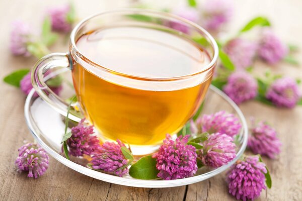 Glass cup of tea on a saucer and clover