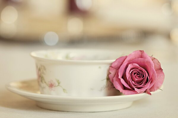 Elegante Tasse und Untertasse mit lebender Rose