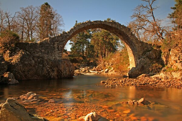 Puente de piedra sobre el río del bosque