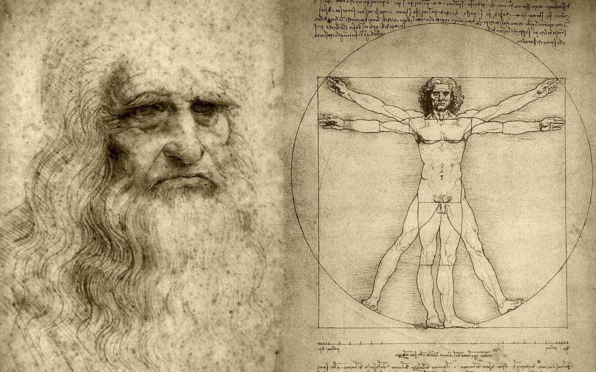 vitruvianischer mann leonardo da vinci zeichnung künstler