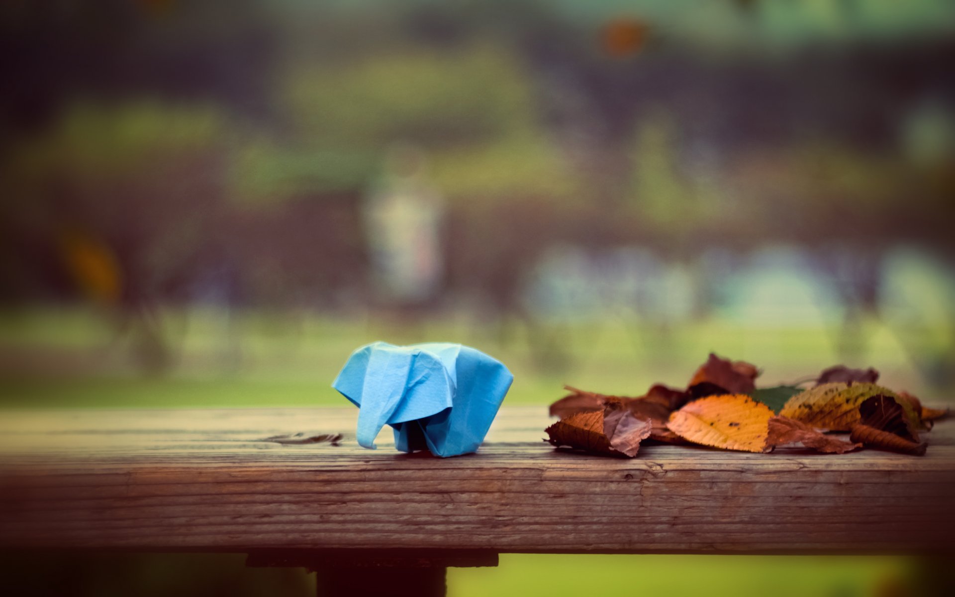 origami elephant paper leaves bokeh 2560x1600