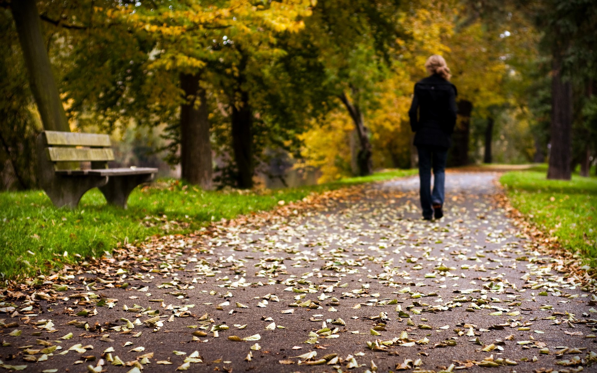 parc route feuilles humeur