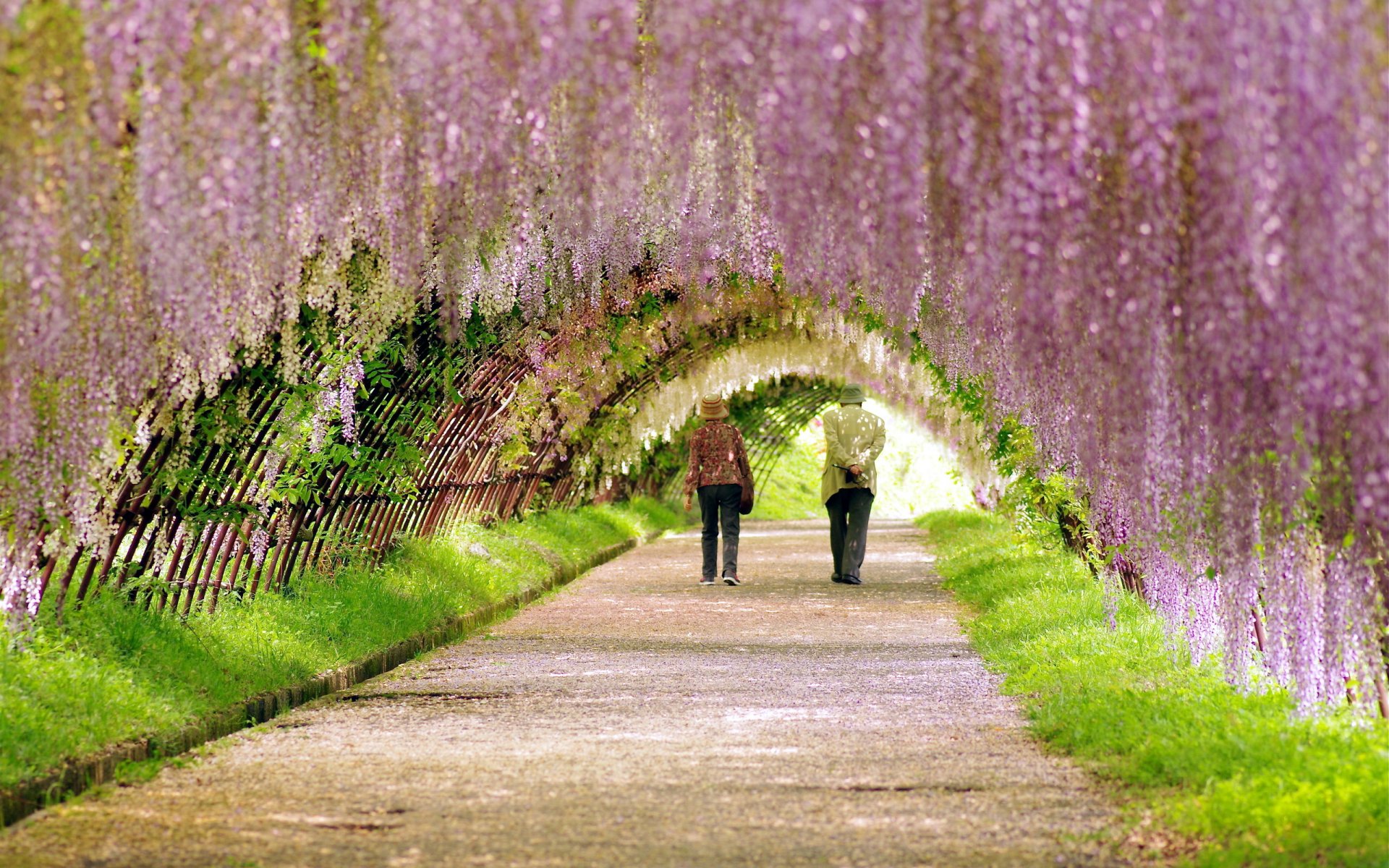 park road walk