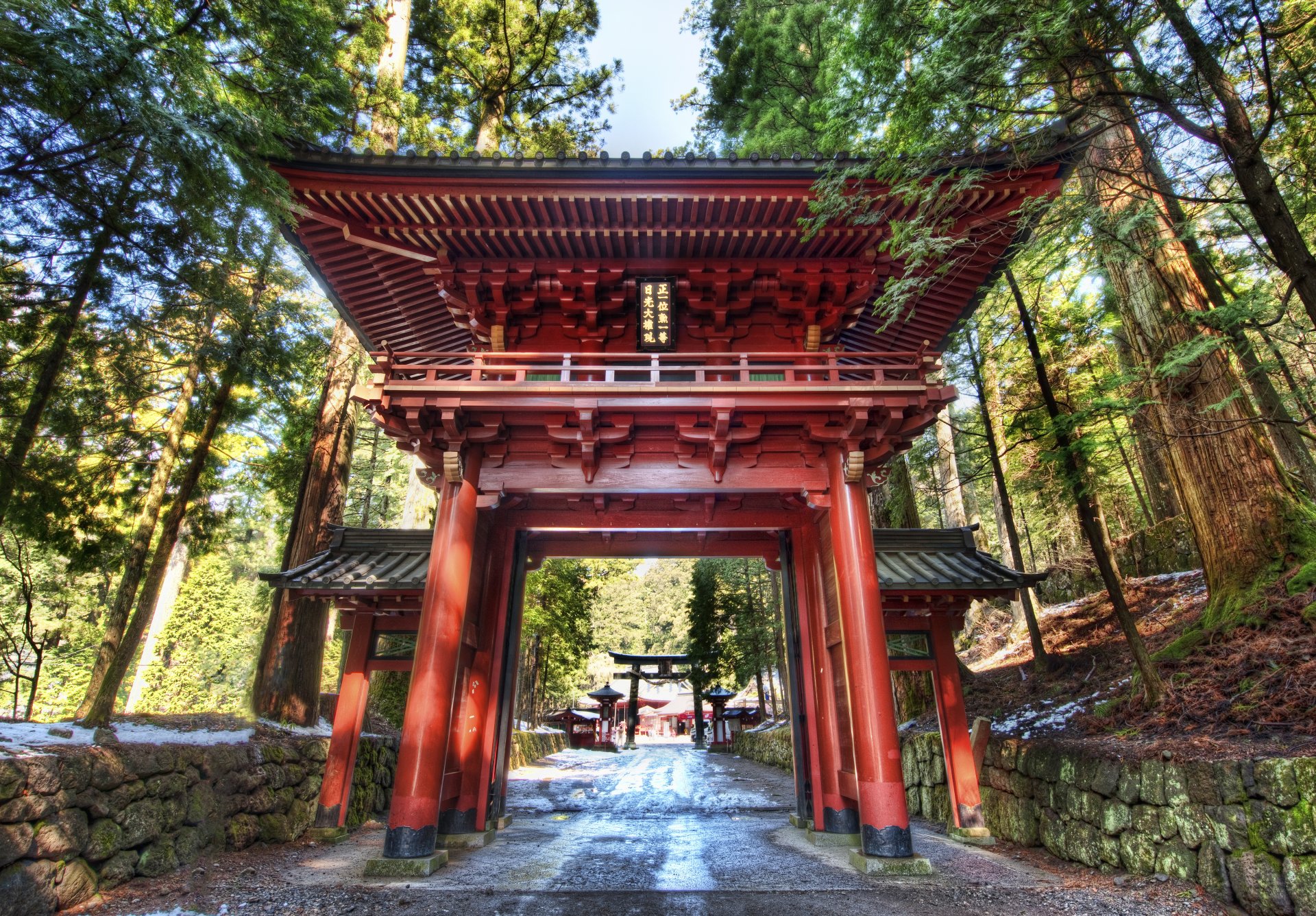 japan nikko forest