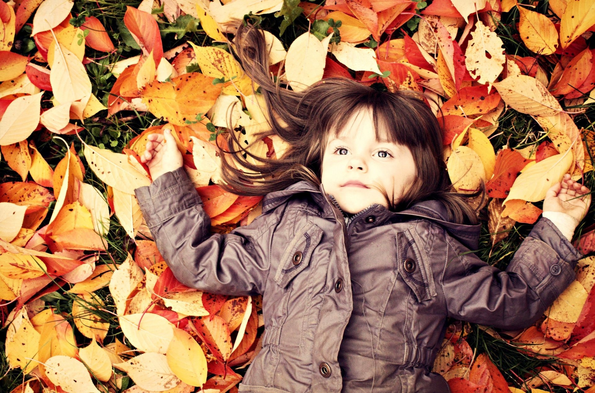 bambino bambino bambino ragazza autunno foglie cadute