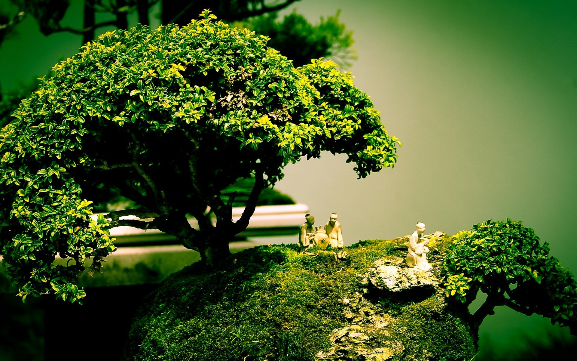 bonsai tree figures art composition