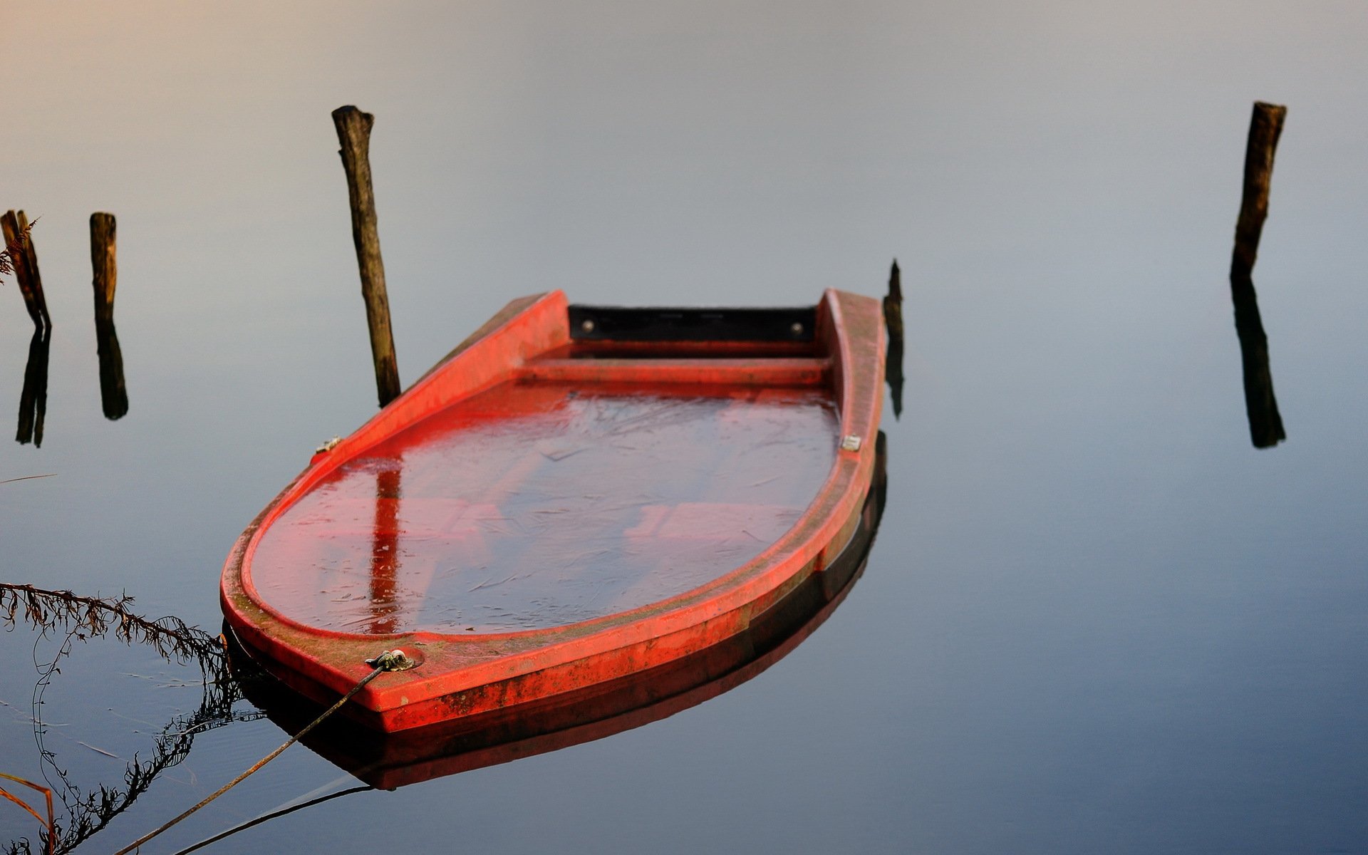 see boot natur