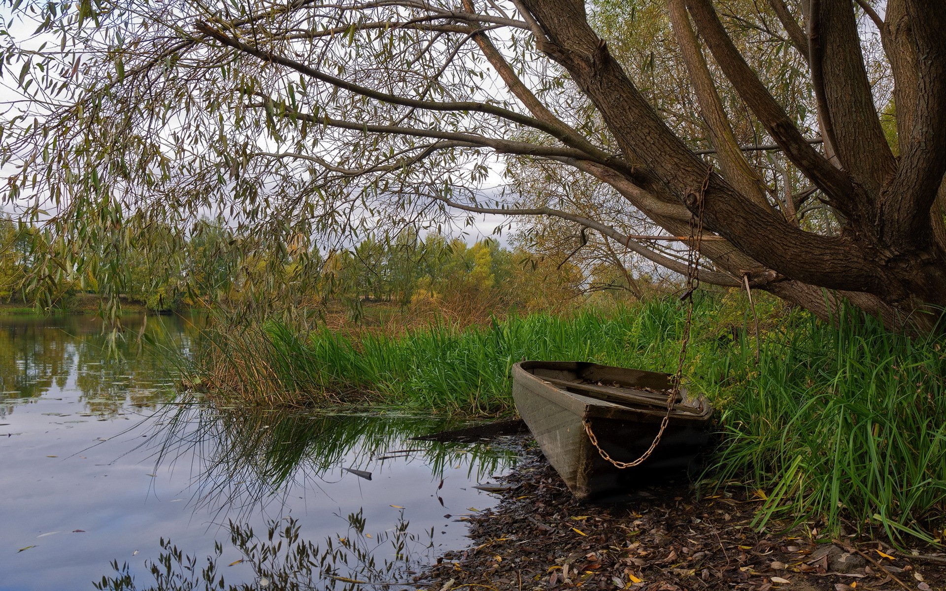 lago barco naturaleza