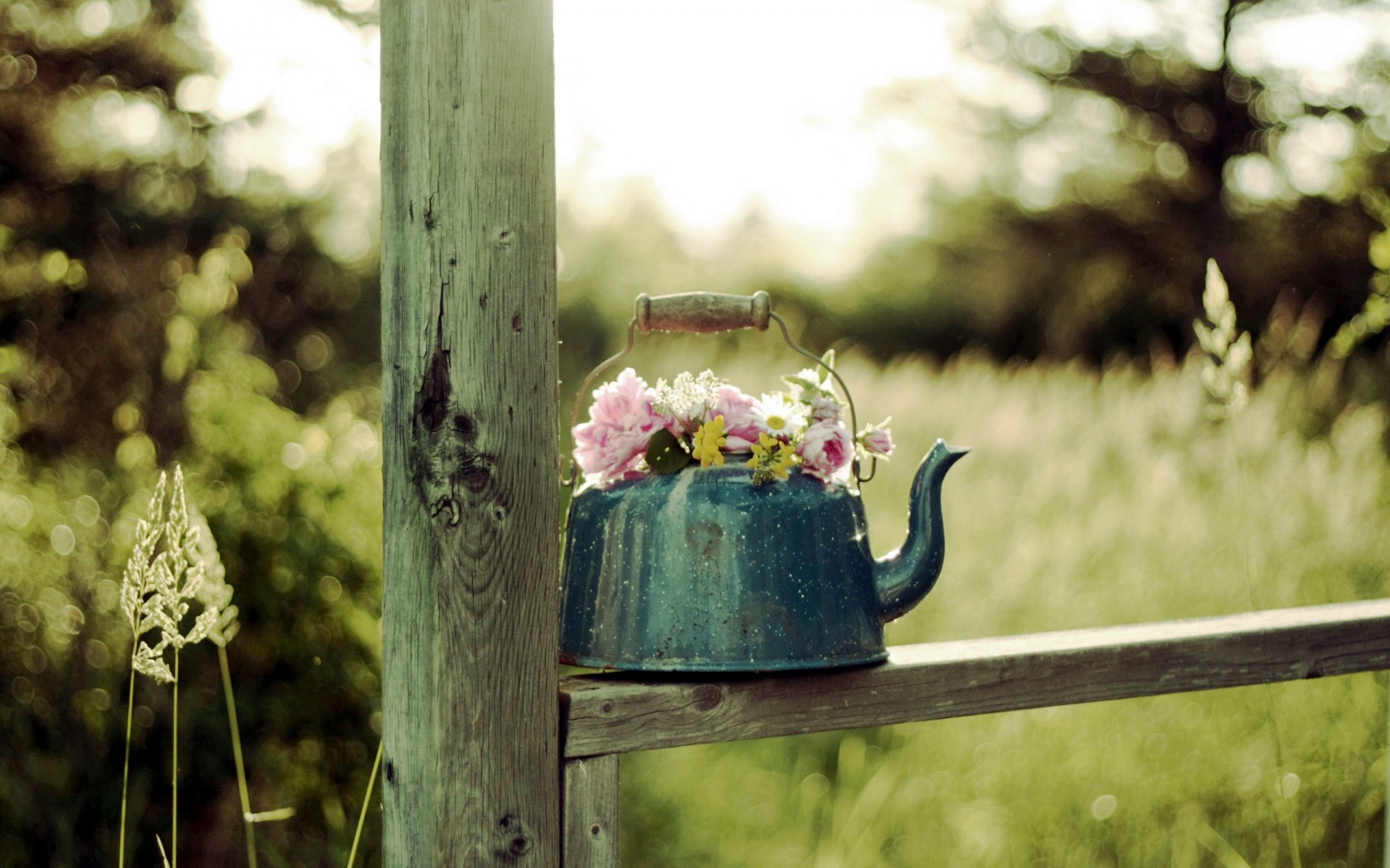 teekanne blumen hintergrund