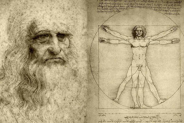 Uomo Vitruviano Leonardo Da Vinci disegno carta da parati