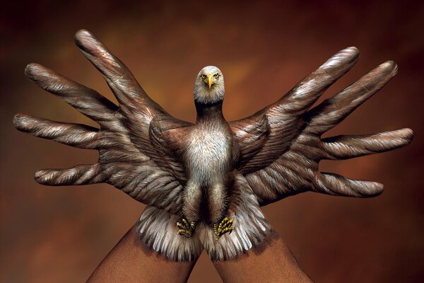 The bird in the hands of the Italian artist Guido Daniele says that it is not possible to catch it with your hands