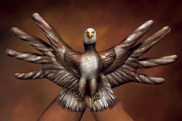 Un oiseau dans les mains de l artiste Italien Guido Daniele dit qu il n est pas possible de l attraper avec ses mains