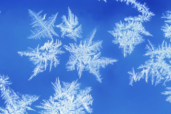 Fallende große Schneeflocken vom Himmel