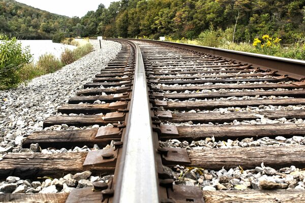 Eine Eisenbahn, die durch den Wald führt