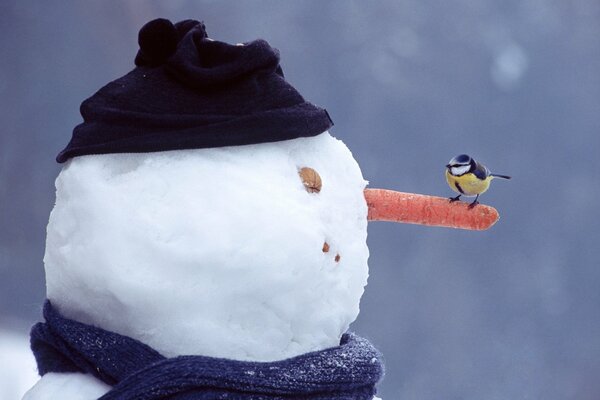 Ein Vogel sitzt im Winter auf der Nase eines Schneemanns