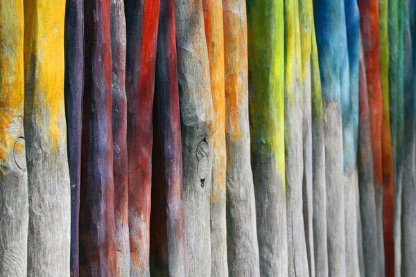 Palos de madera con colores de pintura