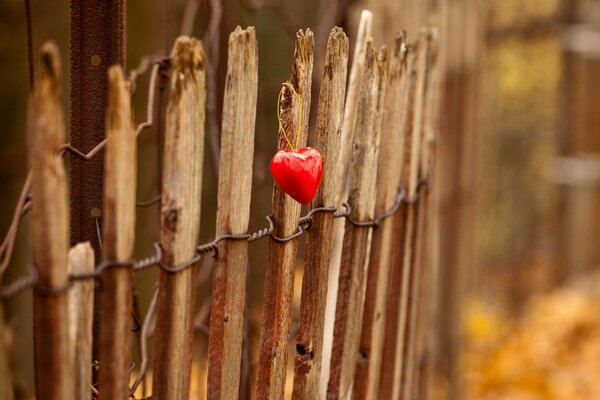 The heart on the fence in the rays of the departing sun