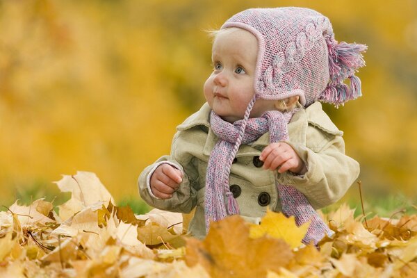 A child plays with fallen leaves in autumn