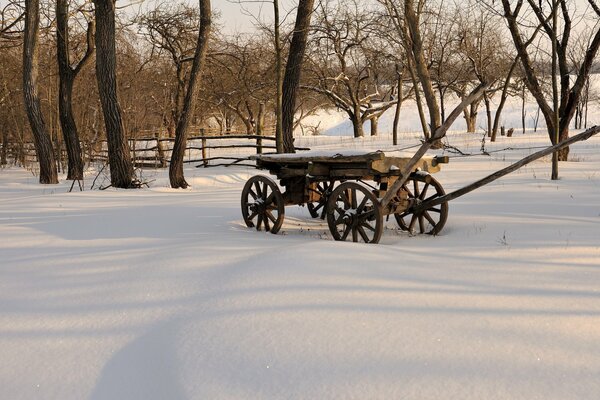 Wooden cart in the winter forest