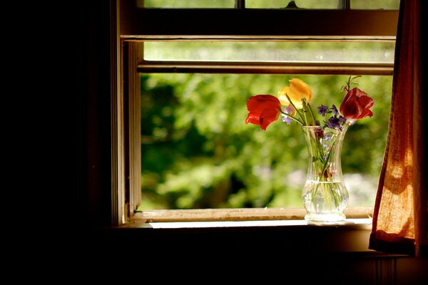 Vase mit Blumen im geöffneten Fenster