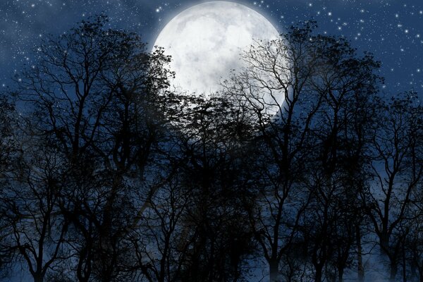 Cielo nocturno lunar y Luna grande