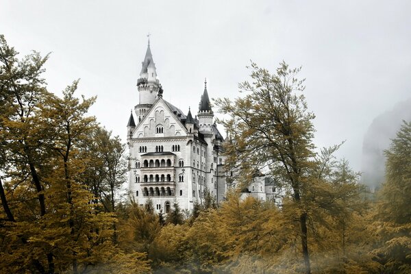 Ein graues Schloss inmitten von Bäumen