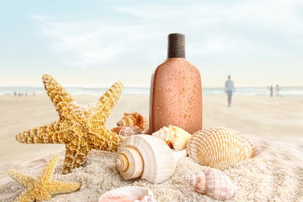 На пляже ракушки и морские звезды в песке