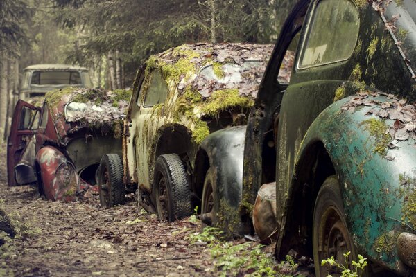 Sammlung von verlassenen Autos im Wald