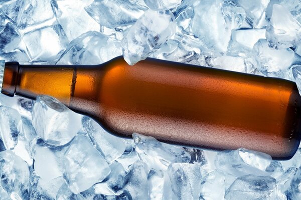 Botella de cerveza con cubitos de hielo