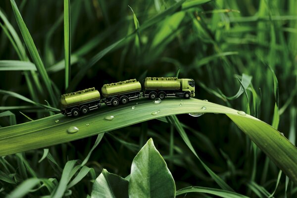 Macchina verde su un filo d erba verde