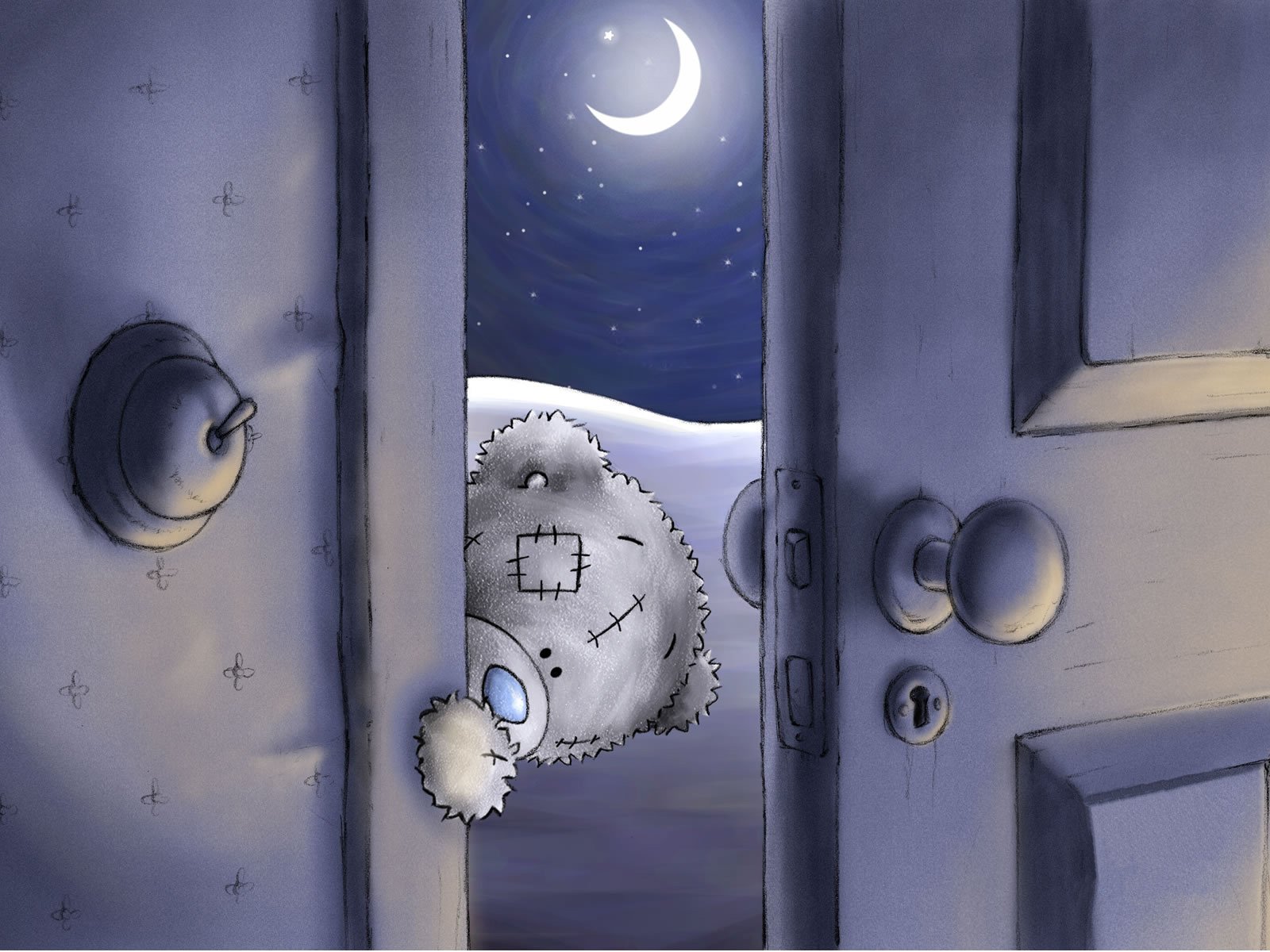 teddy bear teddy doors night moon