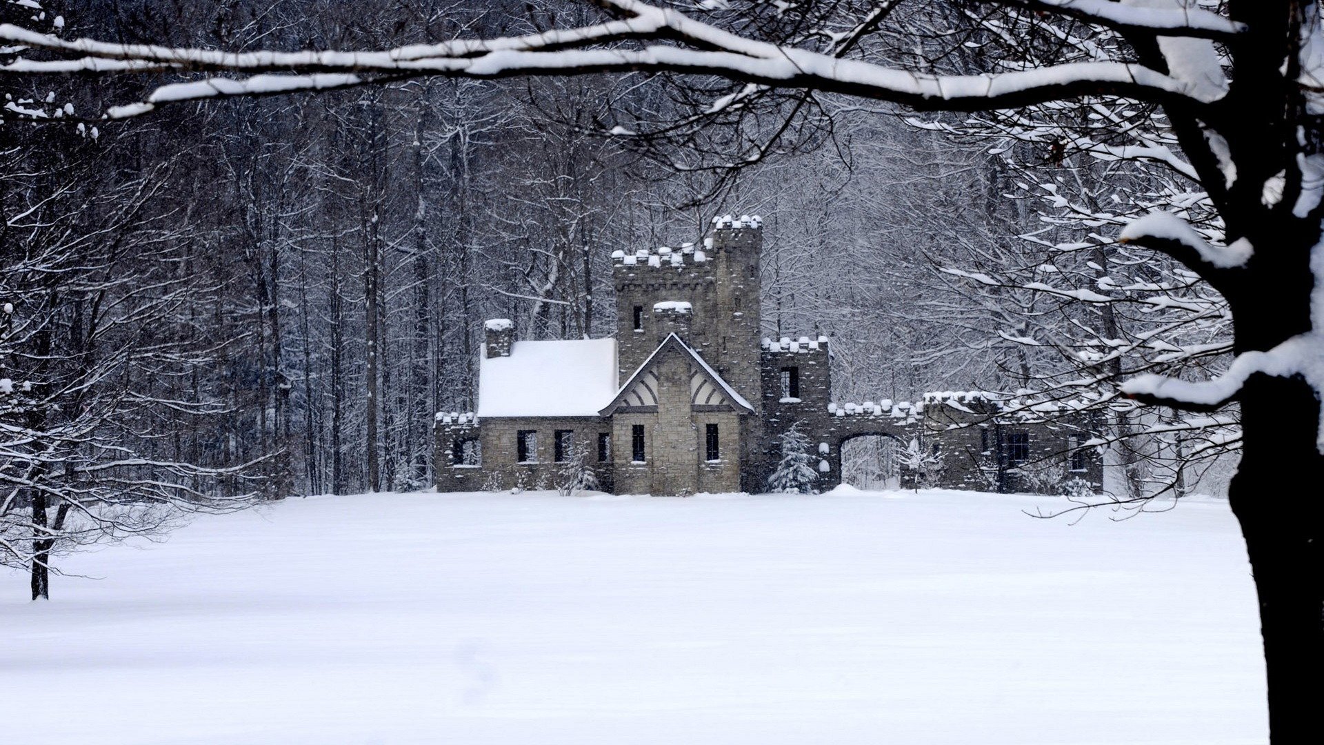 bosque invierno casa