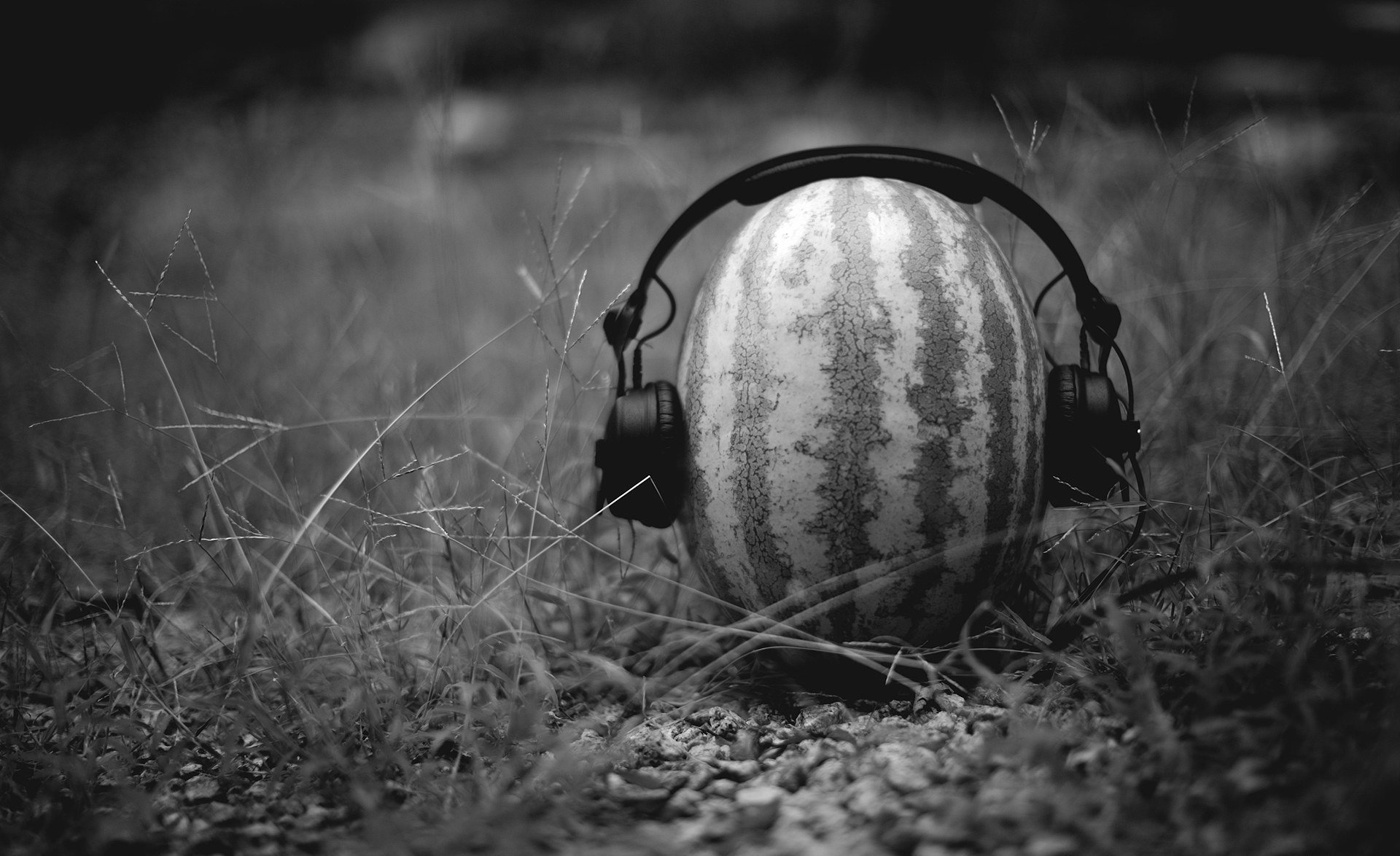 watermelon headphones creative idea mood