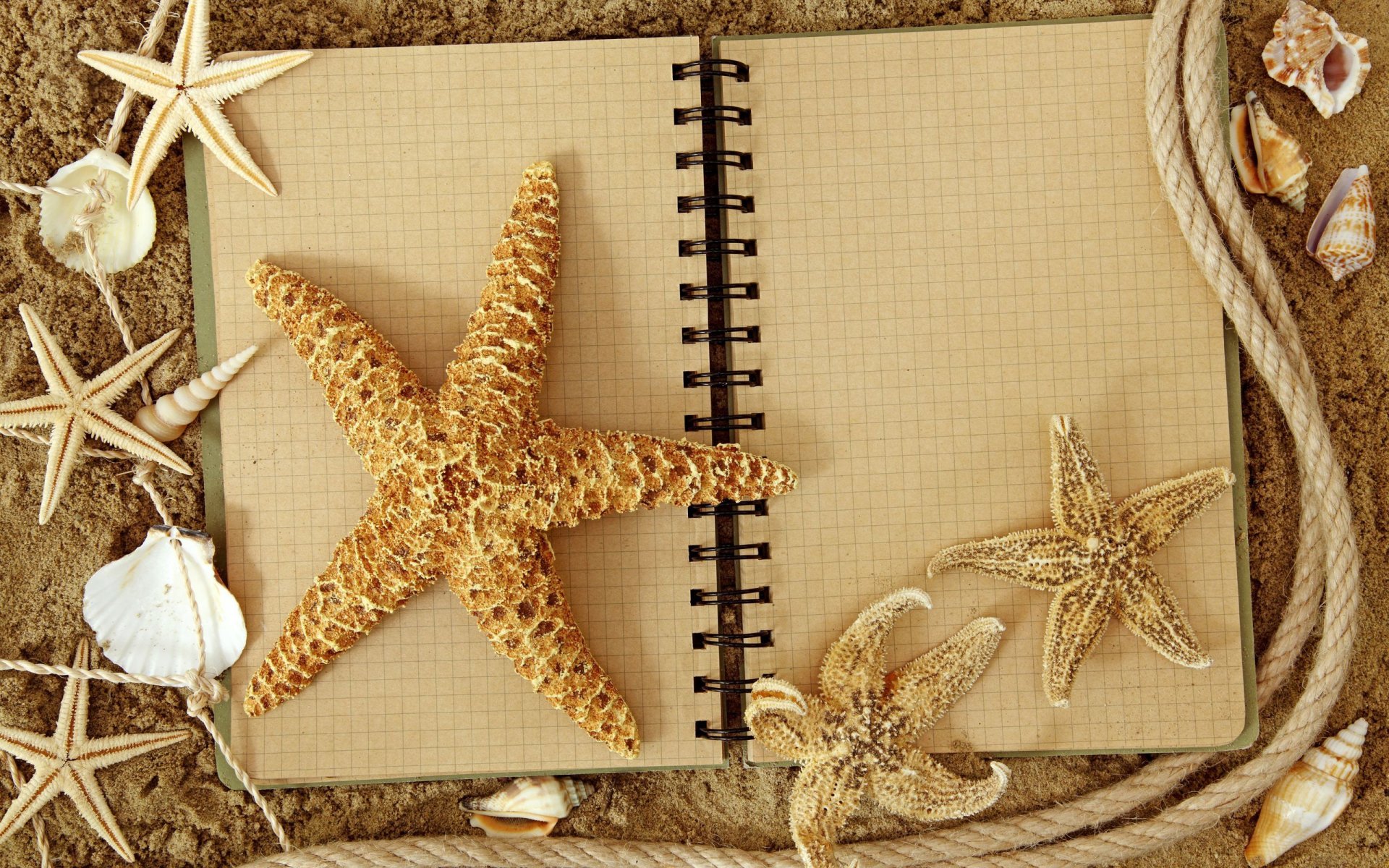 and notes rope shells star