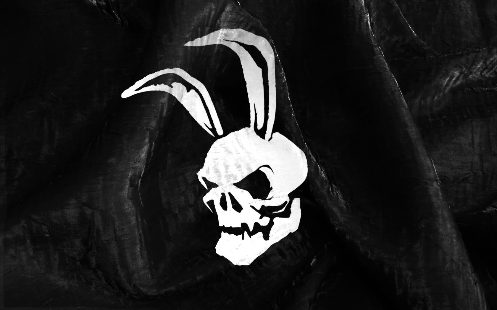 black skull ears bunny