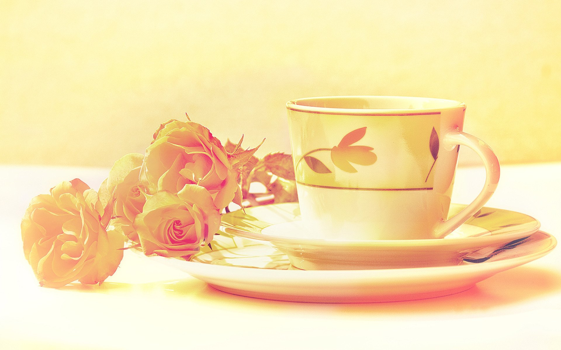 stillleben set tasse untertasse blumen rosen farben verarbeitung bild