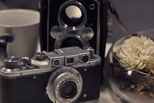 Nature morte rétro avec appareil photo et chrysanthème