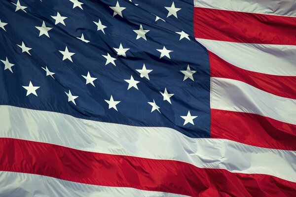 Bandera en desarrollo de los Estados Unidos de América
