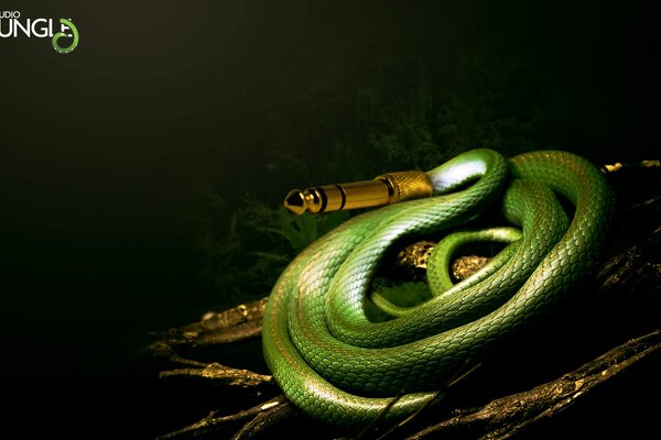 A green snake in the jungle with a jack for a head