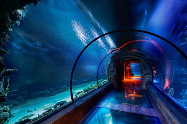 This is how the water park looks from the inside - a tunnel made of glass