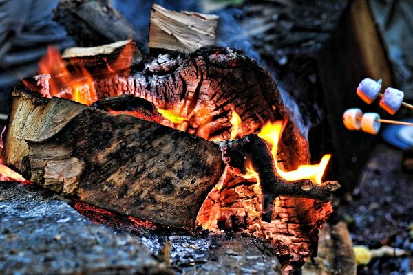 Ein Kohlenbaum in Flammen und Marshmallows