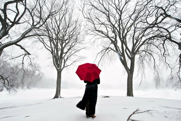 A girl with a red umbrella in the winter forest