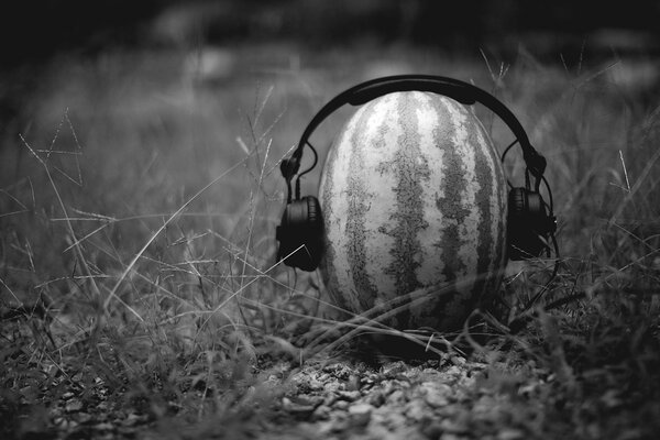 Creative watermelon music lover in headphones