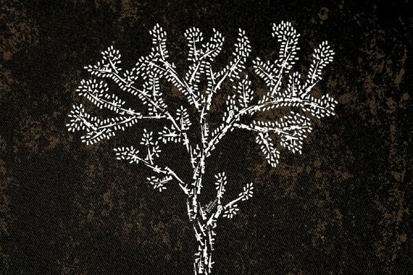 Silhouette of a tree, white on black