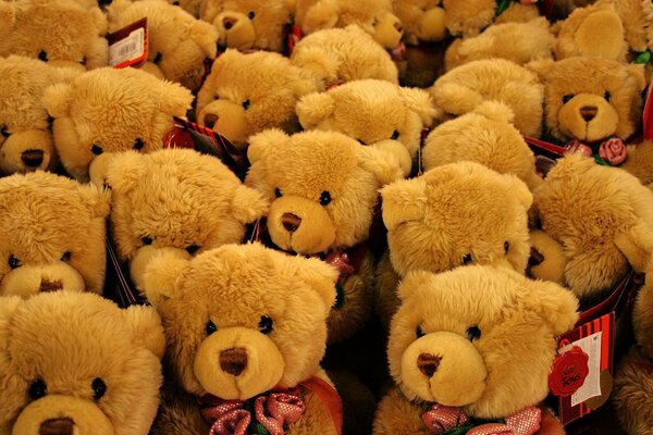 Gift Bears are waiting for their little owners