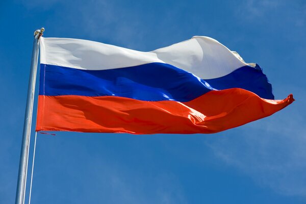 Russian tricolor flutters in the wind