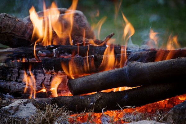 En la naturaleza arde el fuego en la hoguera