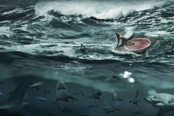Tra le onde del mare impetuose, un uomo su una zattera, molti squali sott acqua